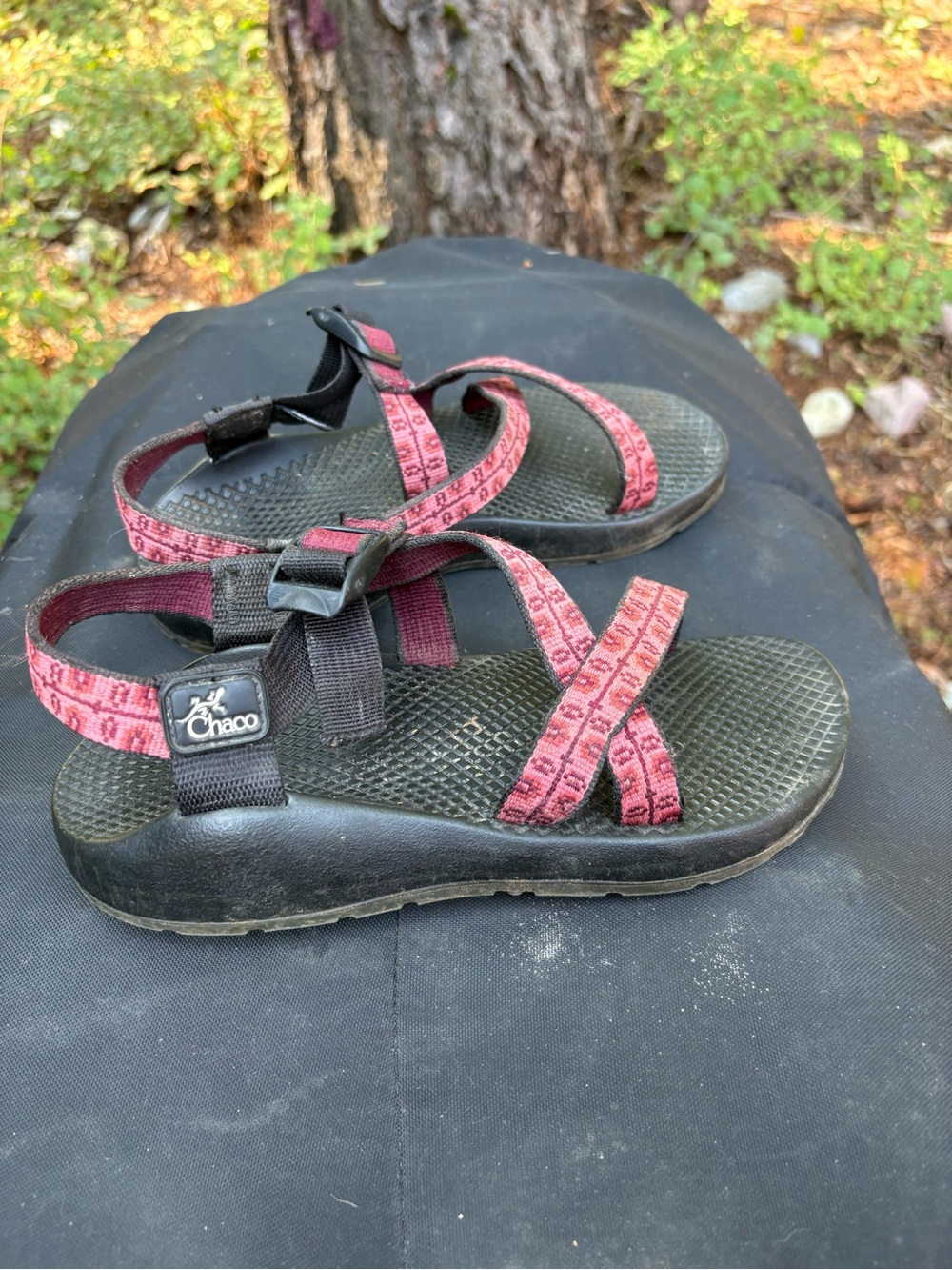 Chaco Women's Strappy Sandals in Raspberry and Black